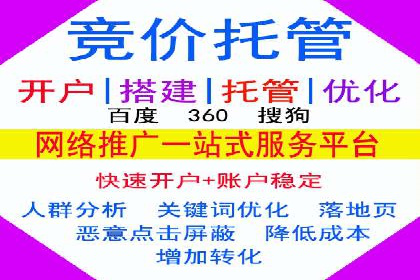 百度推广费用ROI提升策略与案例